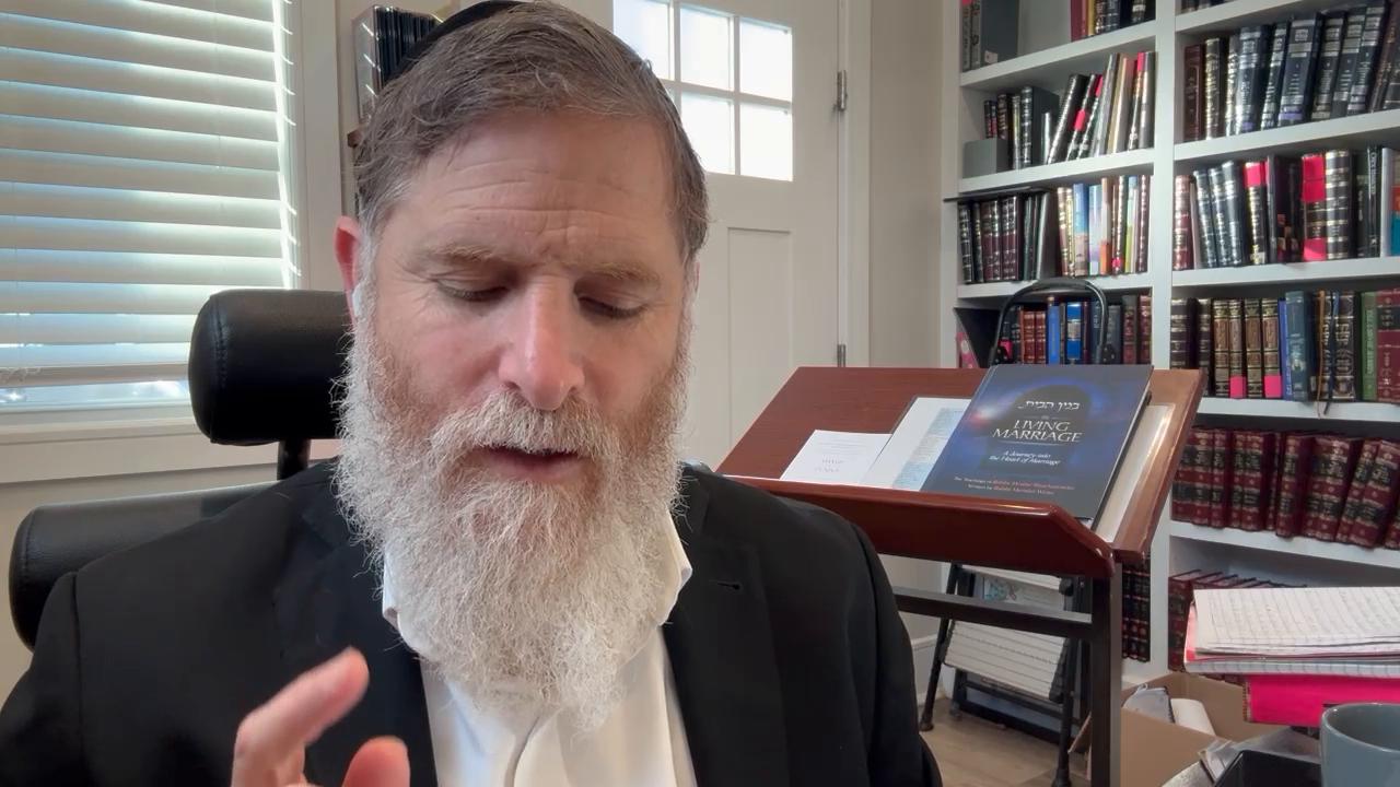 Daily halachot and Parshas vayigash insight from the meshech chochma