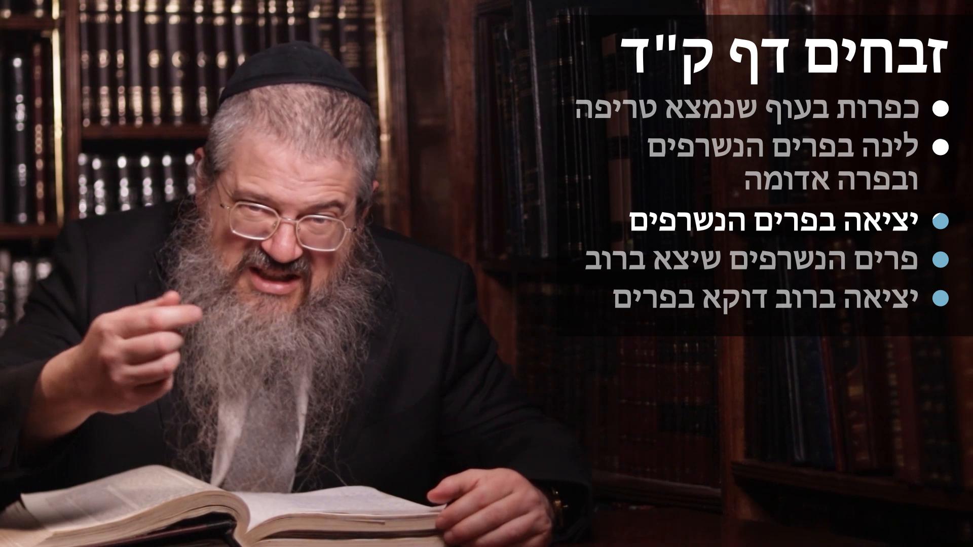 Zevachim daf 104 Kaparos with a treifah, כפרות בעוף שנמצא טריפה, לינה בפרים ובפרה אדומה, יציאה בפרים הנשרפים ויציאה ברוב
