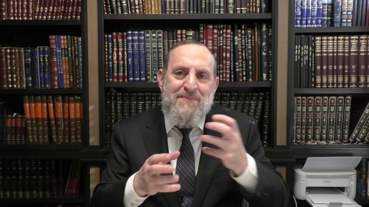 Seforno Gems: Yosef's One True Friend