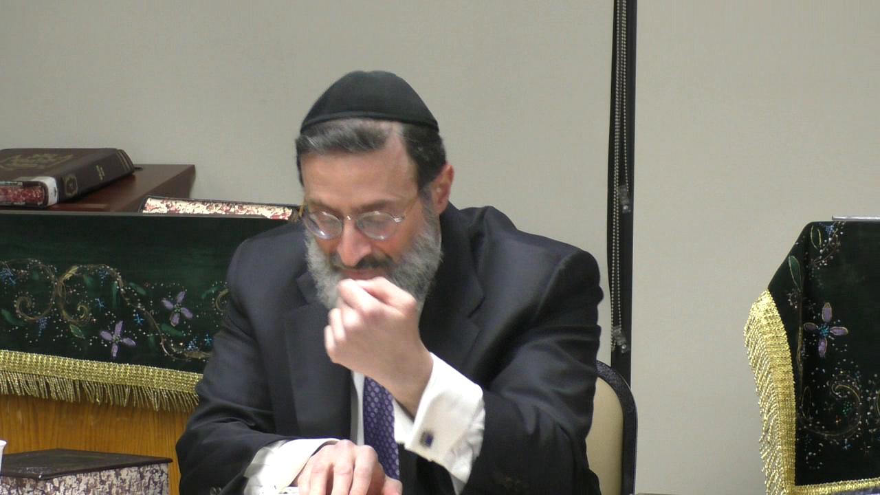 Gilgul, Moshiach, & Lots About the Dynamic Duo Lions