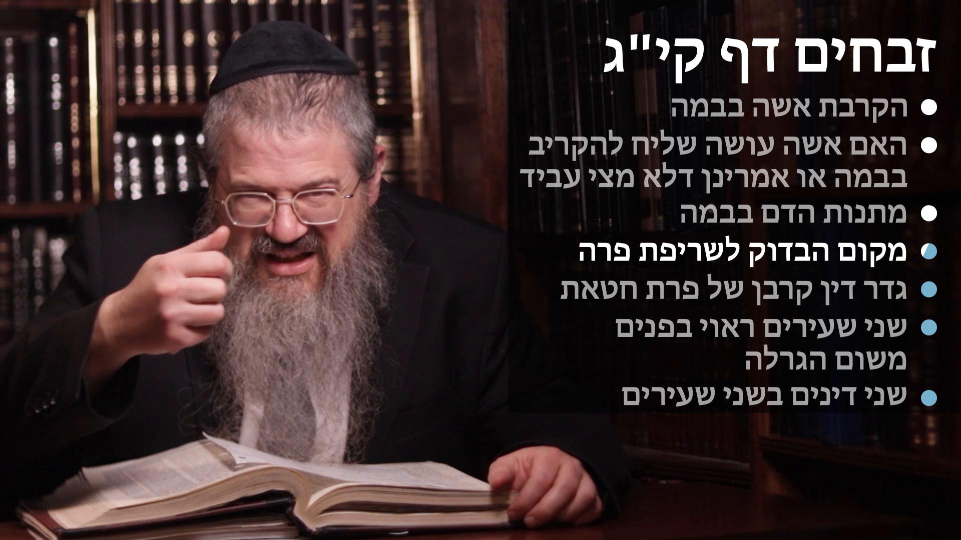 Zevachim daf 113 הקרבת אשה בבמה, ואם עושה שליח או לא מצי עביד, מתנות הדם בבמה, מקום הבדוק לשריפת פרה, קרבן של פרת חטאת, ראוי בפנים בשעירים משום הגרלהה 
