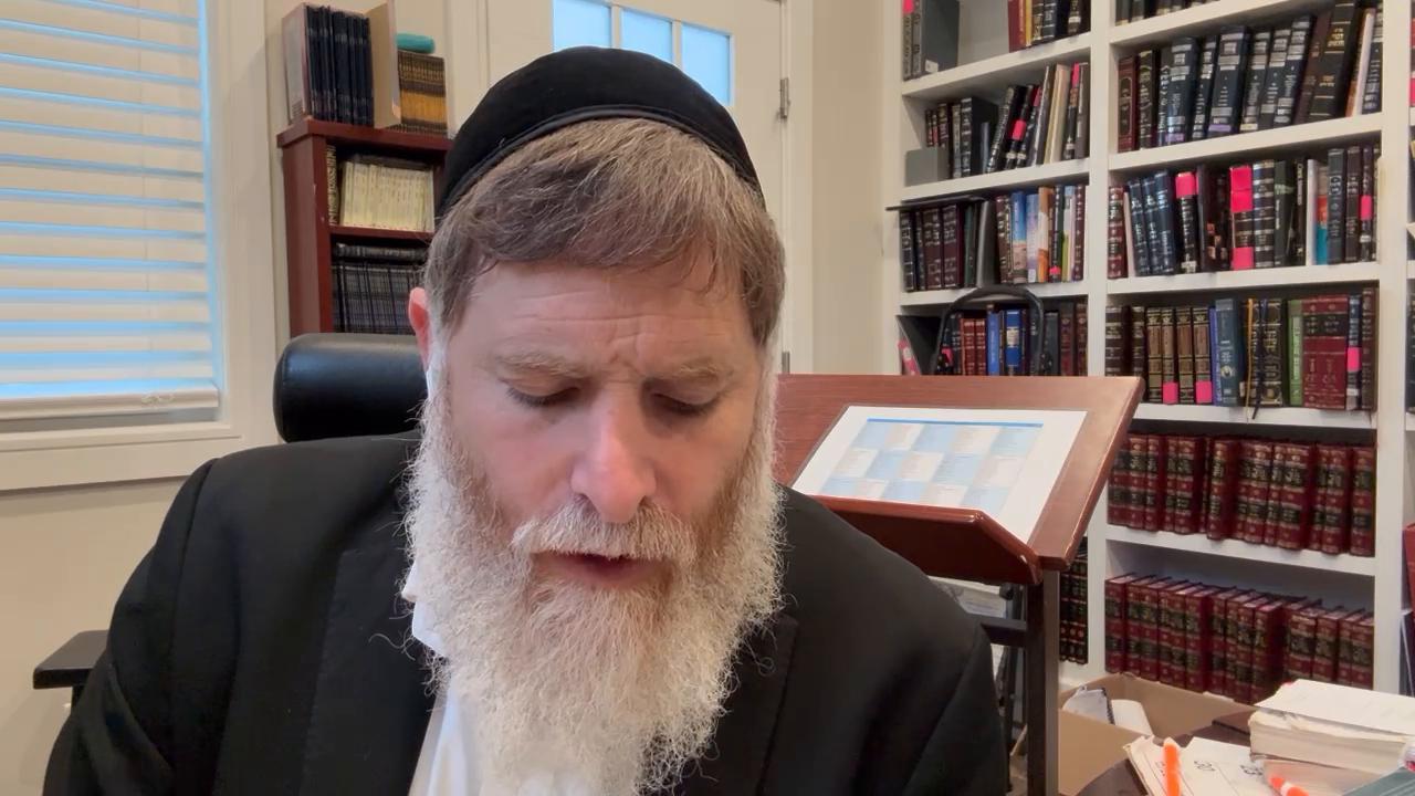 Daily halachot and The days of shovevim 3