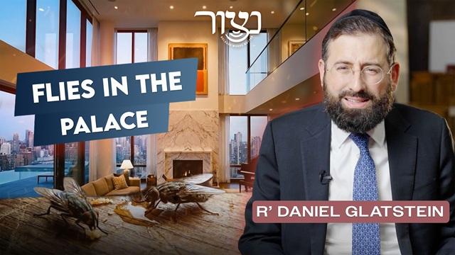 Netzoir - Flies in the Palace