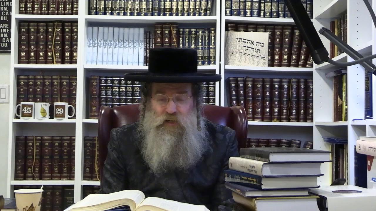 DAF in 29 min. Zevochim 119