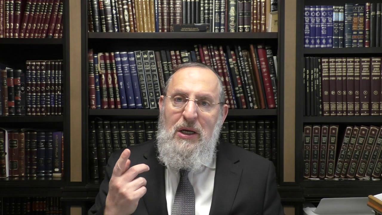 Seforno Gems: Moshe's All-Access Pass to Paraoh