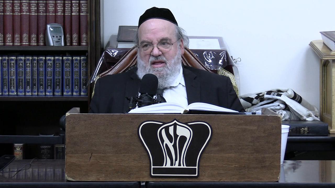 Parshat Va'eira -  Controlling your mind and not letting it go wild