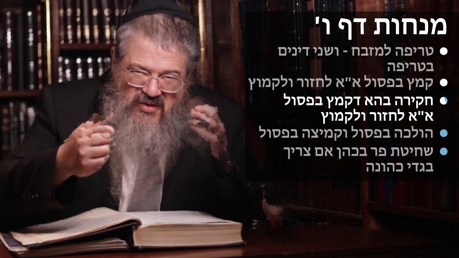 Menachos daf 6 טריפה למזבח, שני דינים בטריפה, קמץ בפסול א"א לחזור ולקמוץ, הולכה בפסול, שחיטת פר בכהן Two dinim in treifah