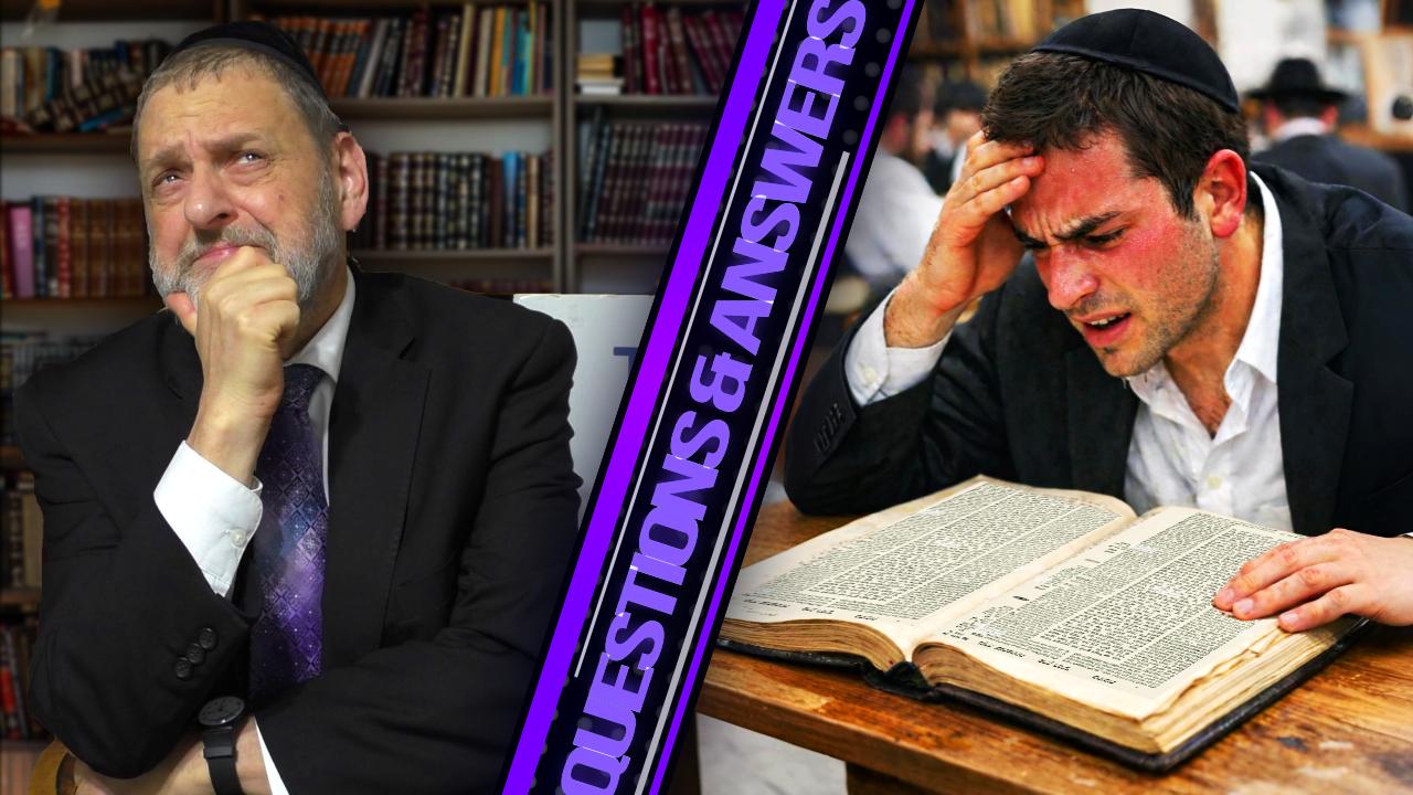 What is Ameilus BaTorah?