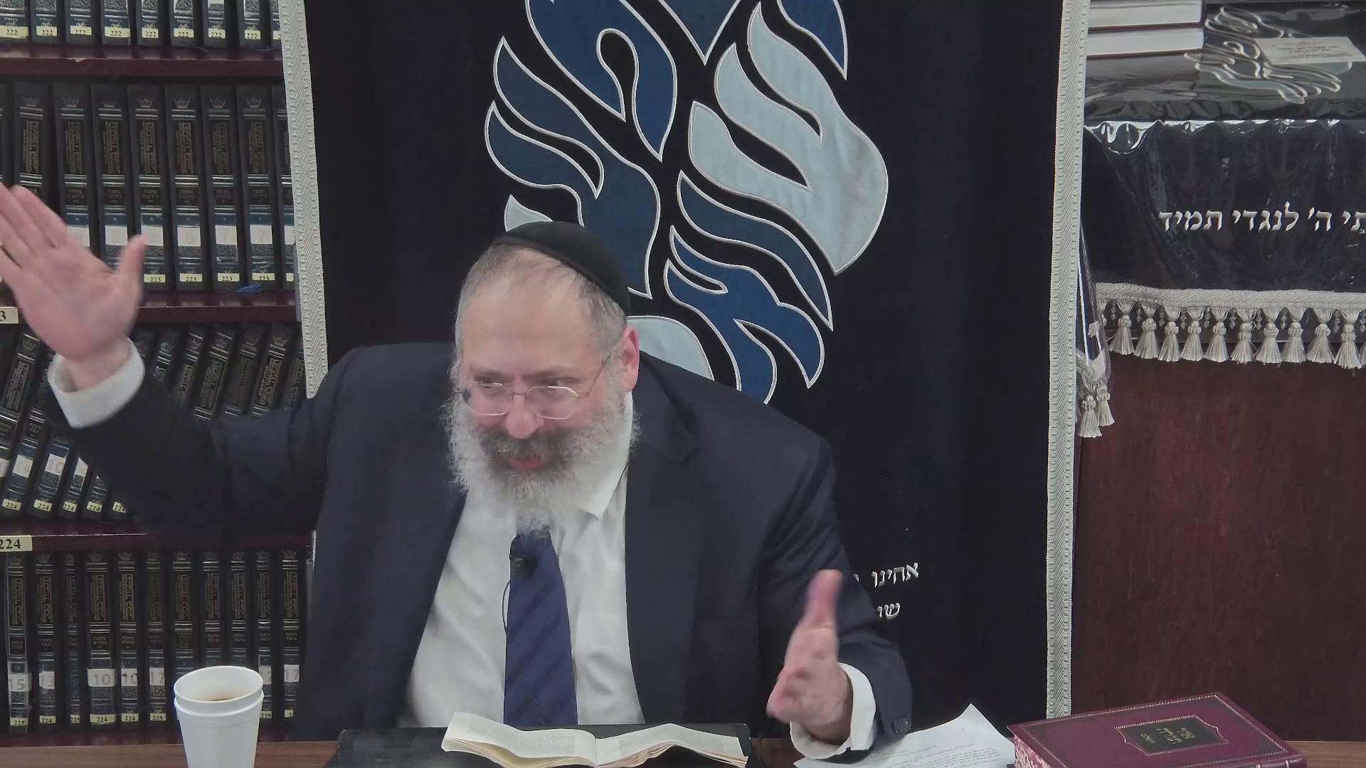 Basi L'Gani 5726 #7: I’m All In: The Revolution of the Baal Shem Tov and the Great Maggid