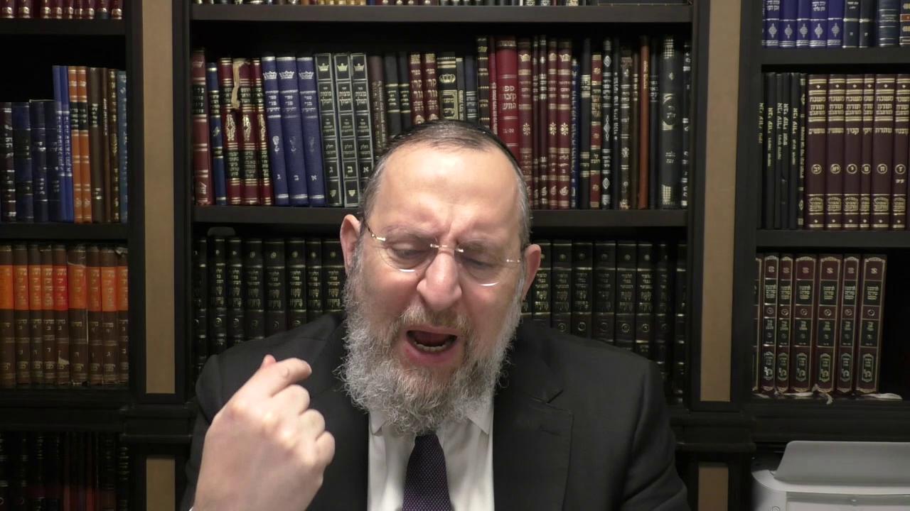 Seforno Gems: The Forgotten War With Mitzraim