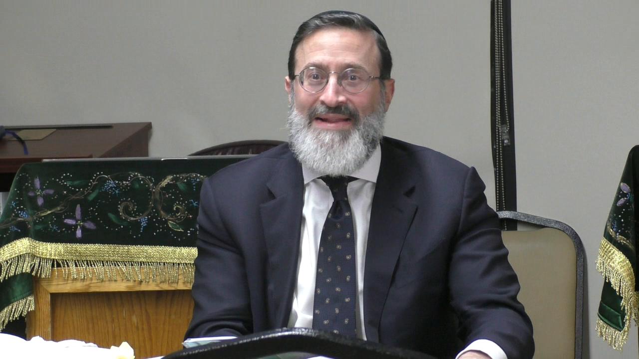 Much to Say About the Myriad Ta'amim in Moshe's Mann