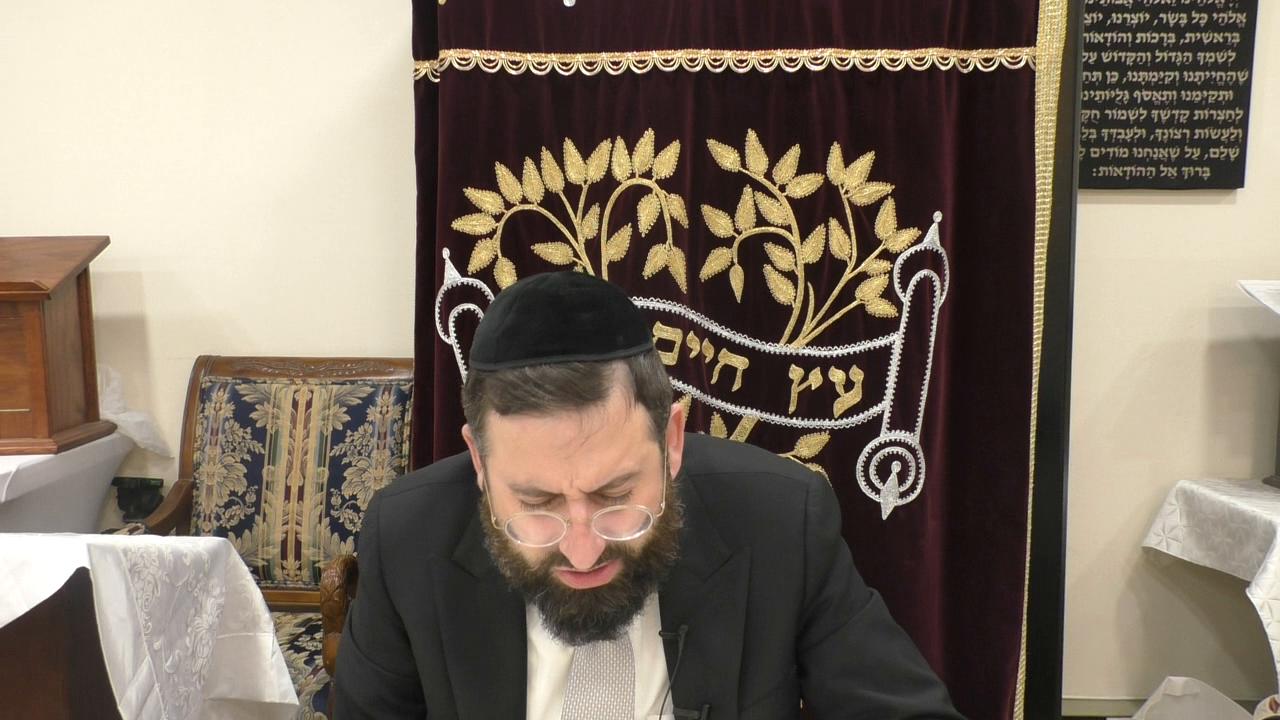 Chavra D'hilchisa Ta'aruvos Siman 102 Seif 1-4 The Parameters of Davar Sheyeish La'hem Matirim