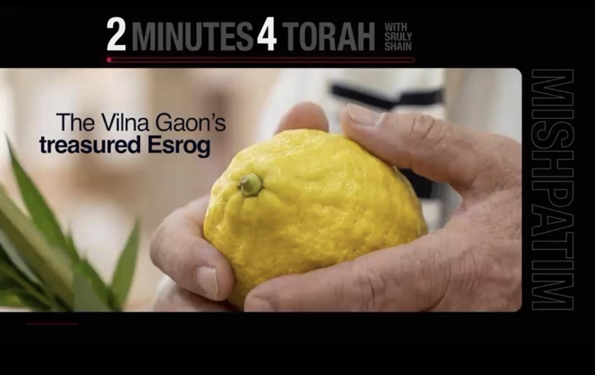 Mishpatim: The Vilna Gaon’s treasured Esrog