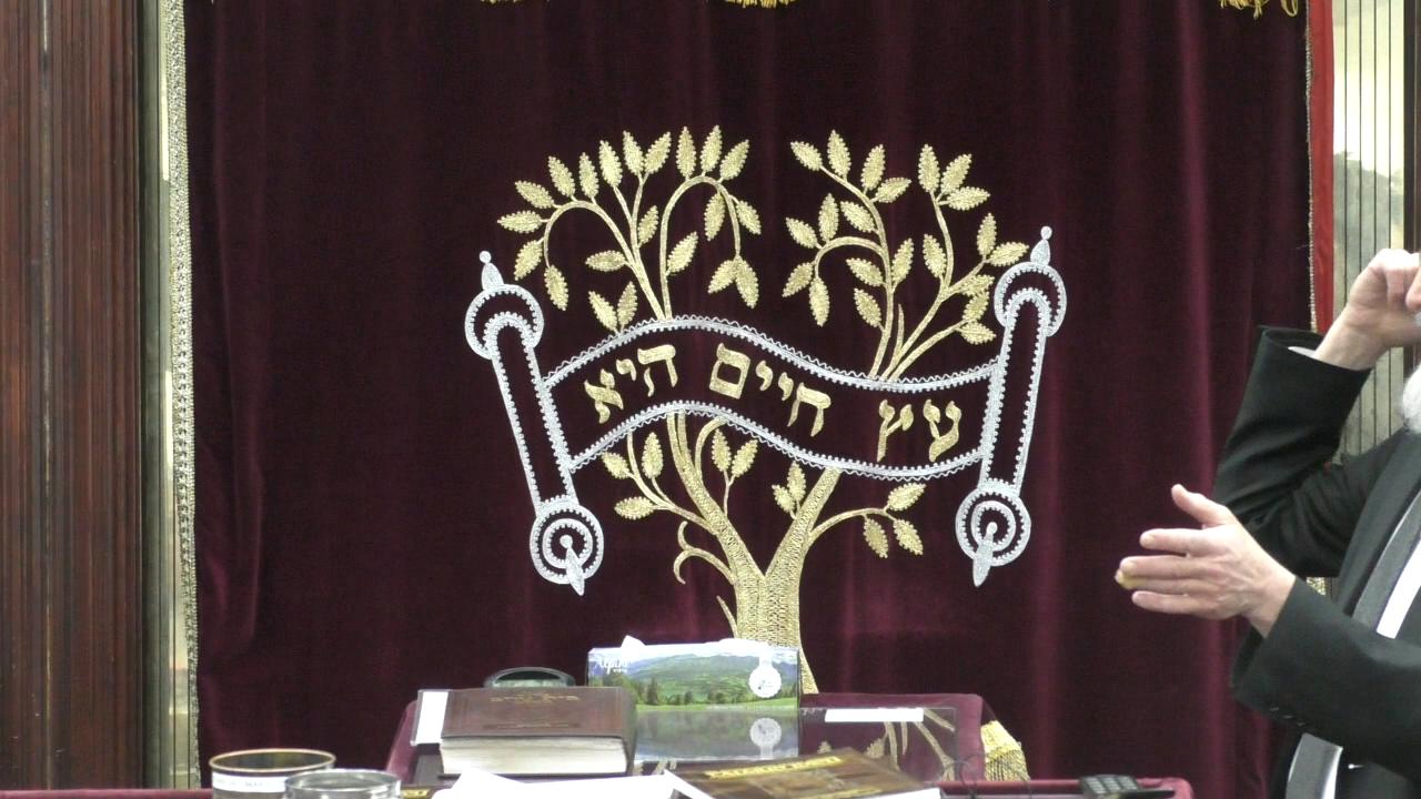Late Night Mishmar With Rabbi Reisman: How Many Days Does It Take The Moon To Orbit The Earth Each Month?