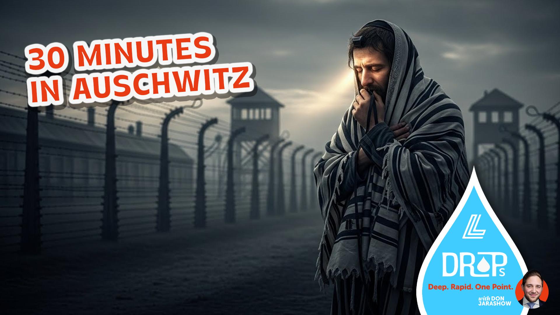 30 Minutes in Auschwitz
