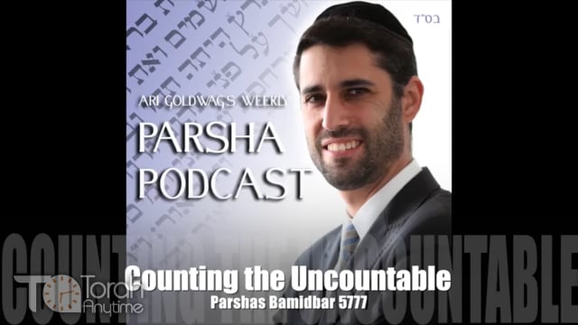 Parashat Bamidbar: Counting the Uncountable