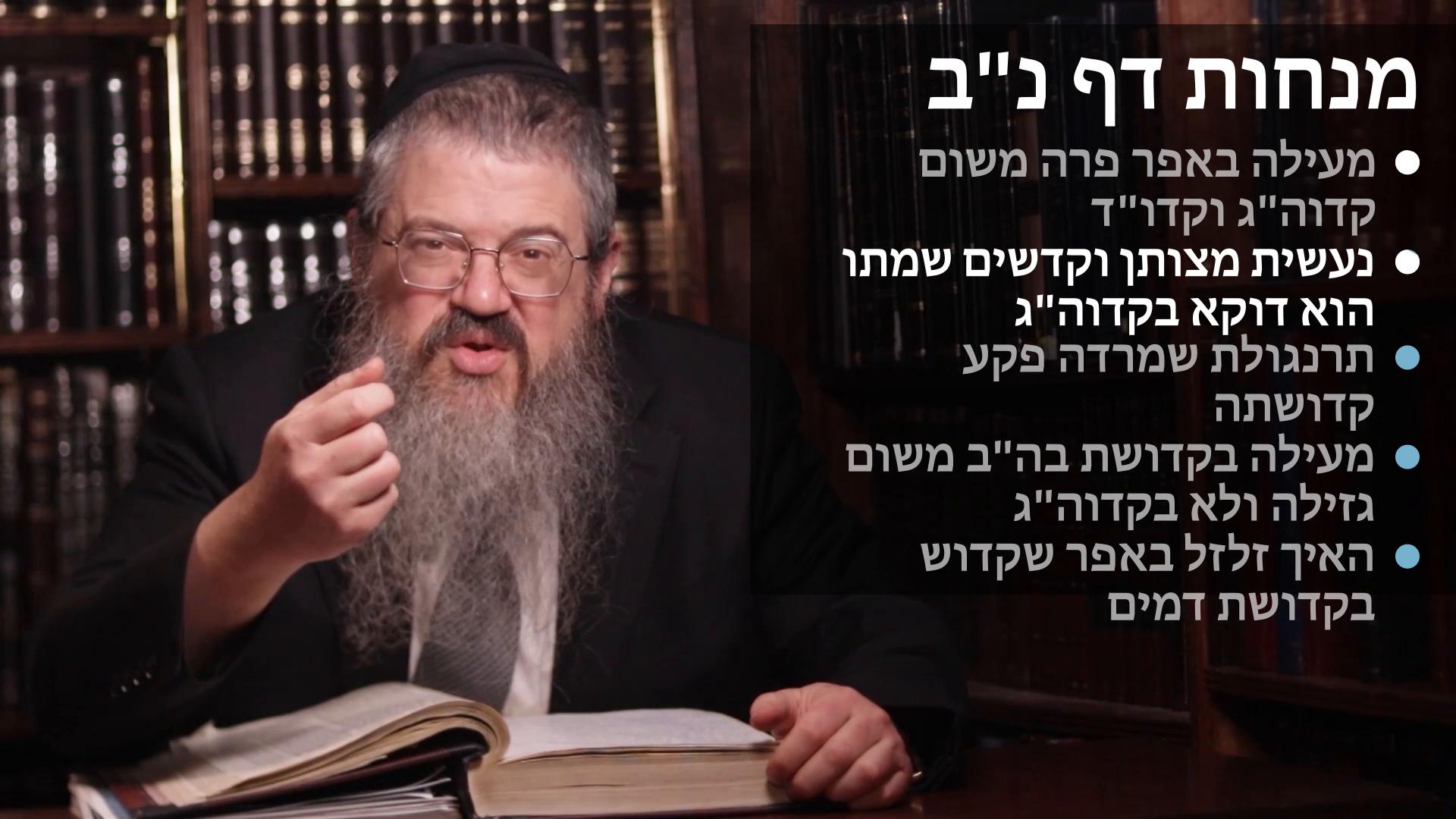  Menachos daf 52 הגר"ח מבריסק באפר פרה, ונעשית מצותן דווקא בקדוה"ג ולא בקדושת דמים, תרנגולת שמרדה פקע קדושתה, מעילה משום גזילה או איסור קודש 