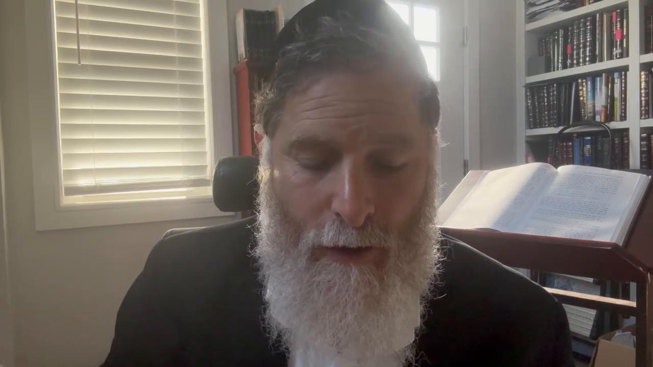 Daily halachot and Pesach 1