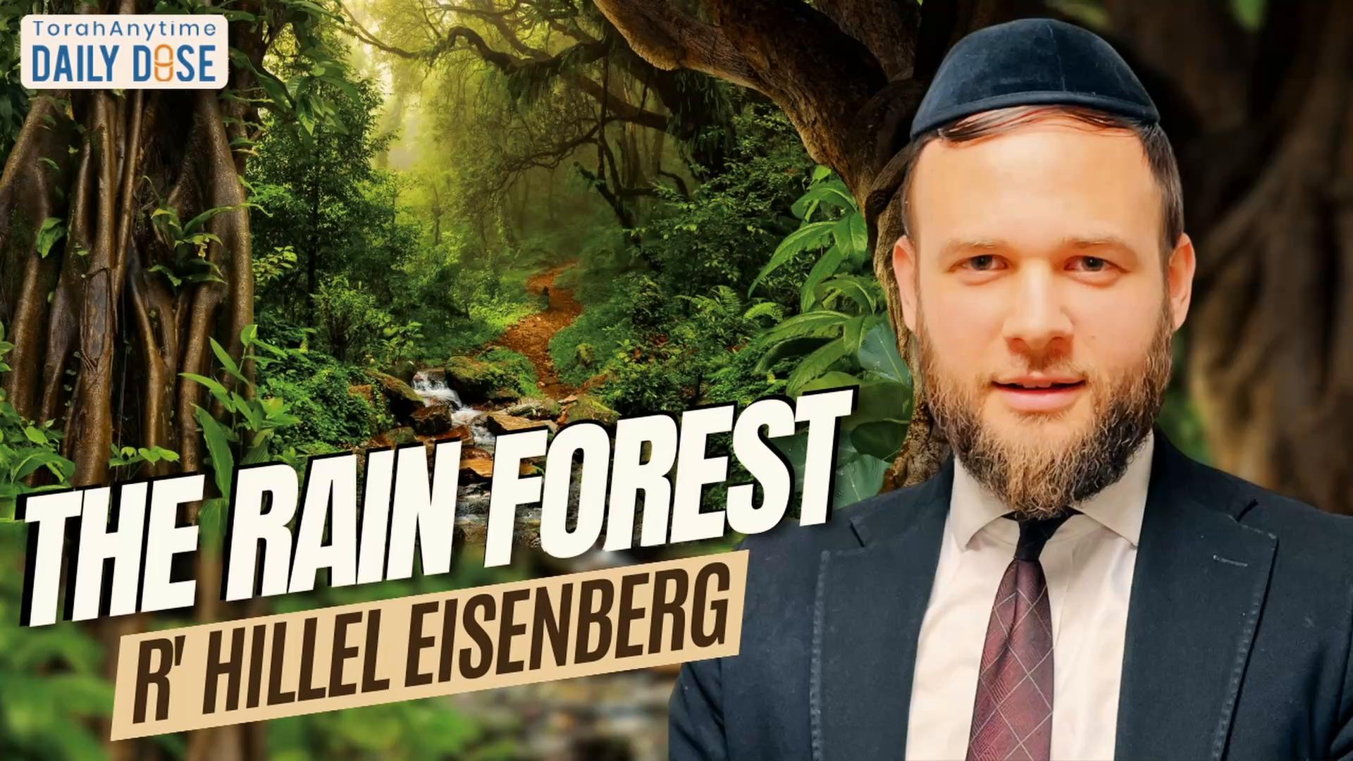 Daily Dose #2,574: The Rain Forest
