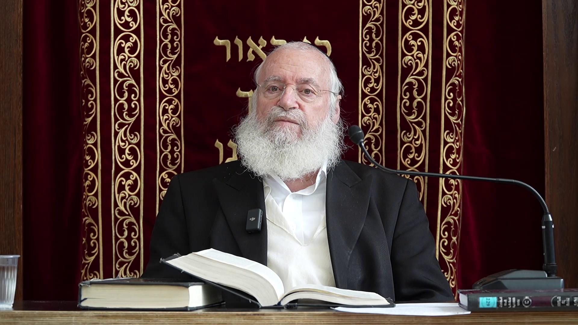 R' Asher Weiss | Parshas Parah and the Cheit Ha'Eigel