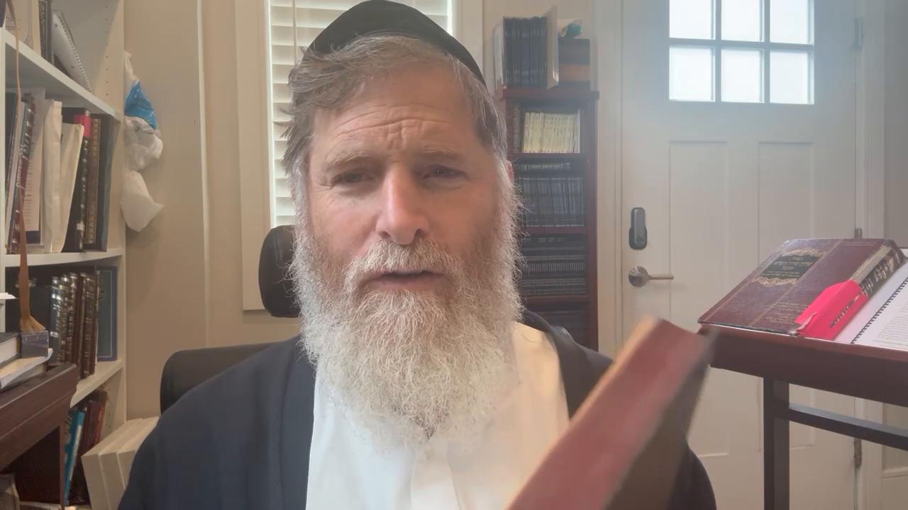 Daily halachot and Prep for Pesach 2