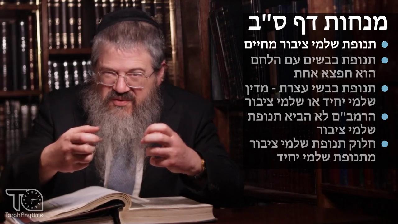 Menachot daf 62 תנופת שלמי ציבור מחיים, תנופת הכבשים חדא מצוה עם הלחם, הגרי"ז דתנופת שלמי ציבור הוא דין בפני עצמו 