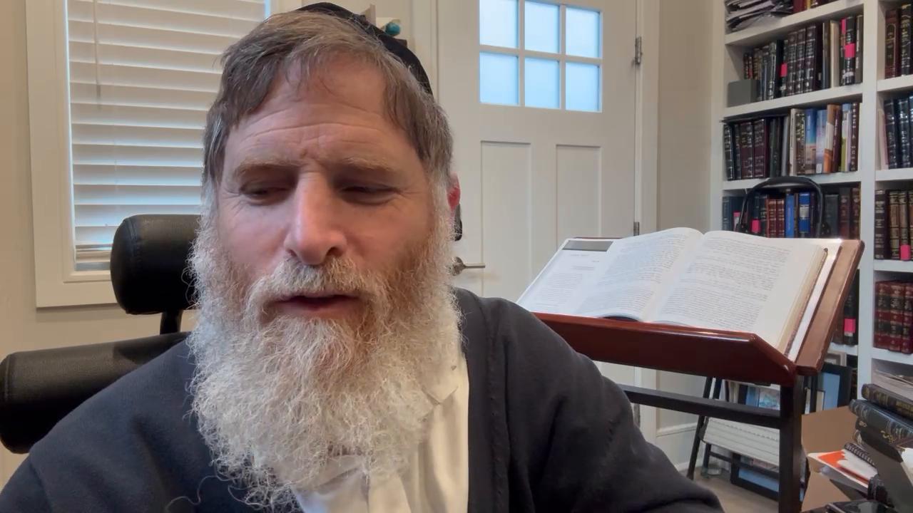 Daily halachot and Birkas hailanos