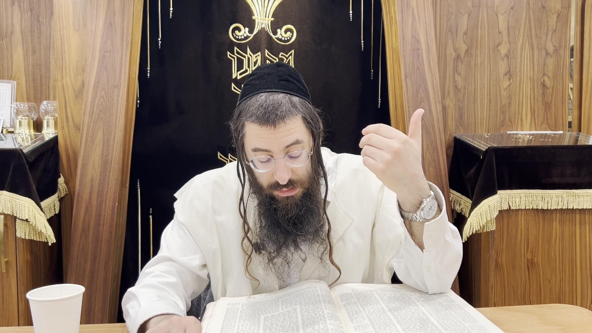 R' Chaim Ozer Geldzahler | Menachos 65