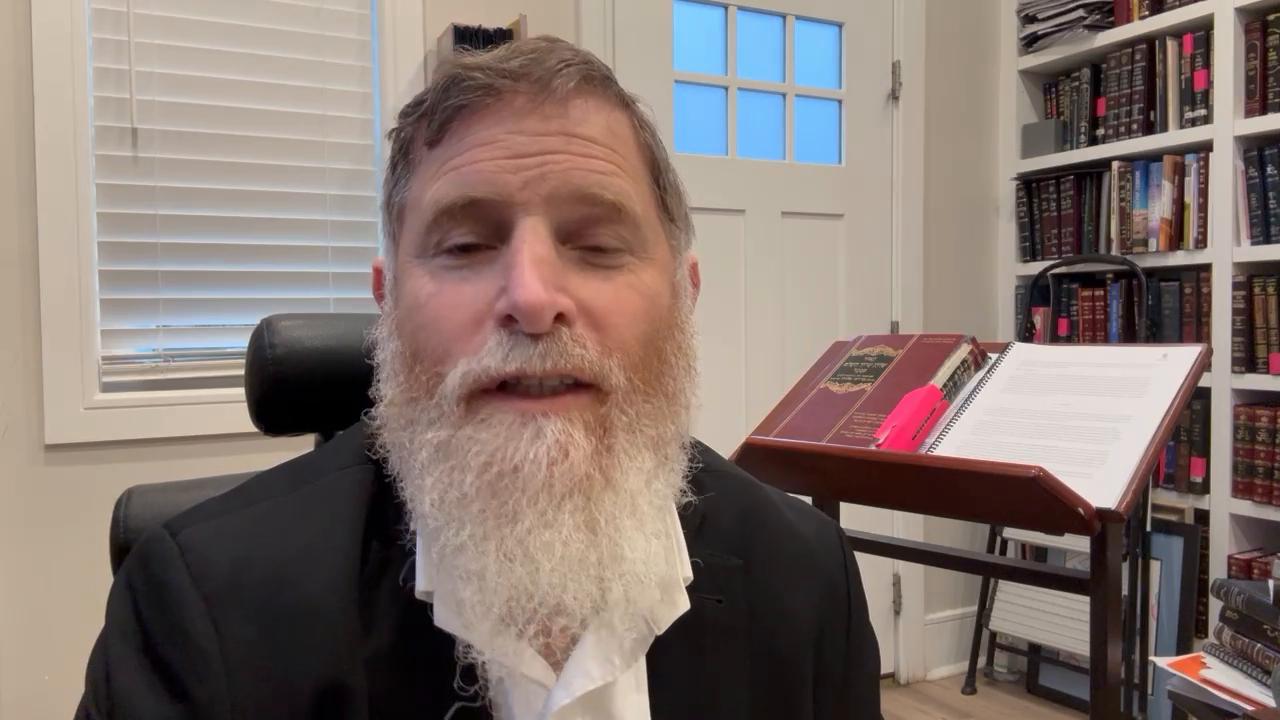 Daily halachot and Taanis bechoros