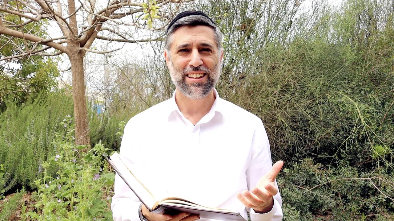 Bitachon 252: Joining Efforts and Faith