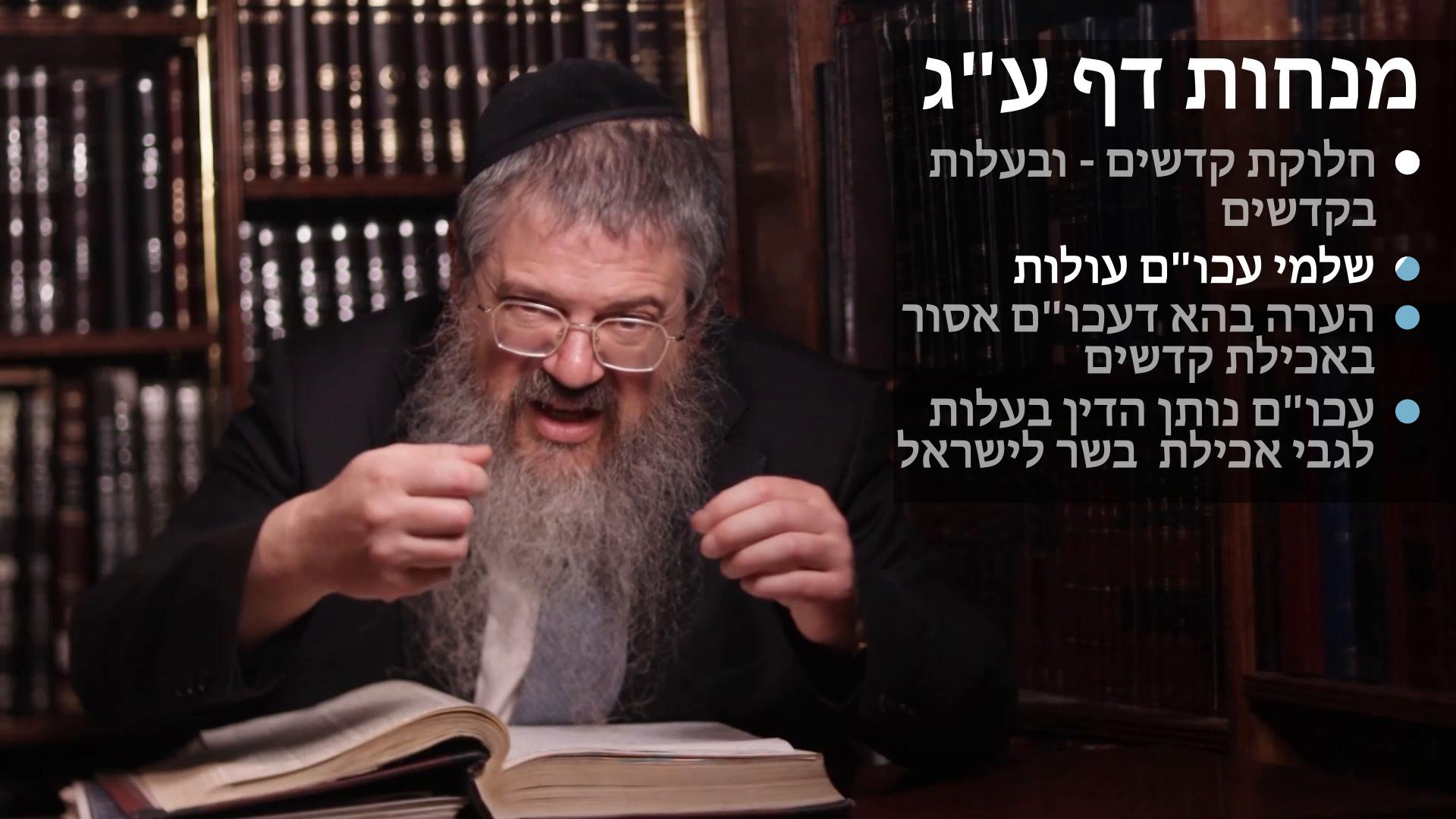 Menachot daf 73 חלוקת קדשים ובעלות בקדשים, שלמי עכו"ם עולות, ועכו"ם אסור באכילת קדשים, ונותן אכילת הקרבנן לישראל 
