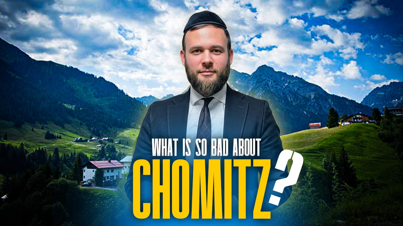 Alligators Taught Me About Chomitz 