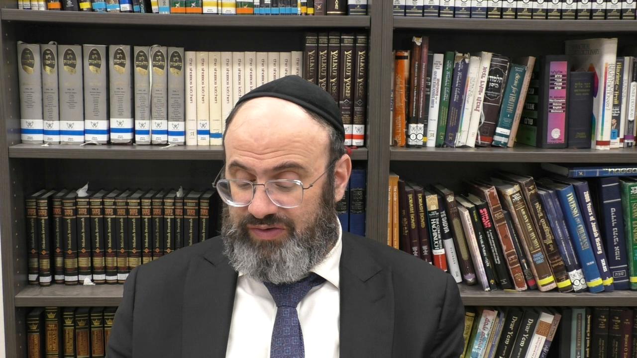 371:6 "A Goseis in the Yard- Roofs, Yards, and Karfifos on Shabbos."