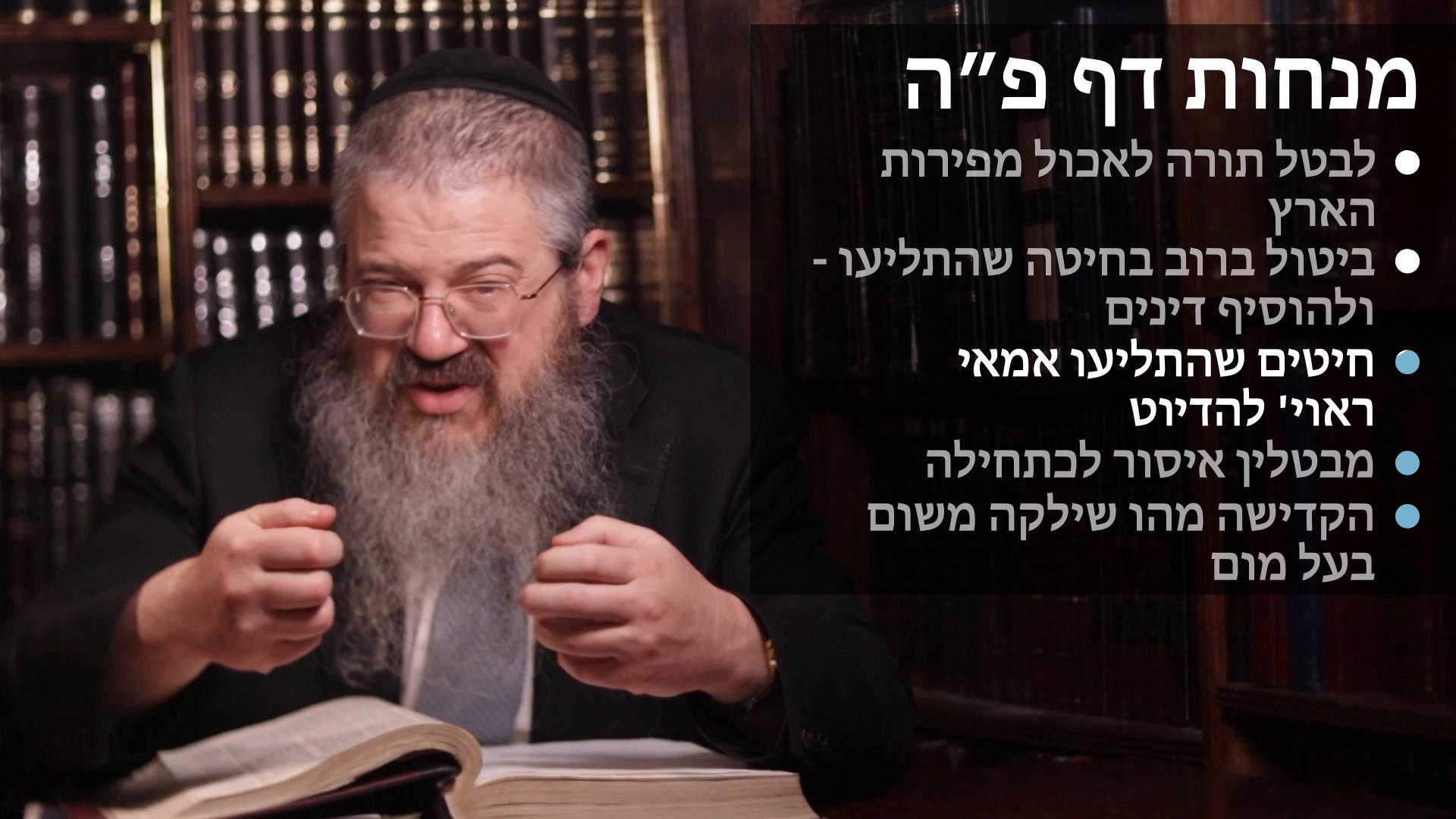  Menachot daf 85 לבטל תורה לאכול מפירות הארץ, ביטול ברוב בחיטה שהתליעו ולהוסיף דינים, אמאי החיטים ראוי להדיוט, מבטלין איסור לכתחלה, הקדישה מהו שילקה משום בעל מום
