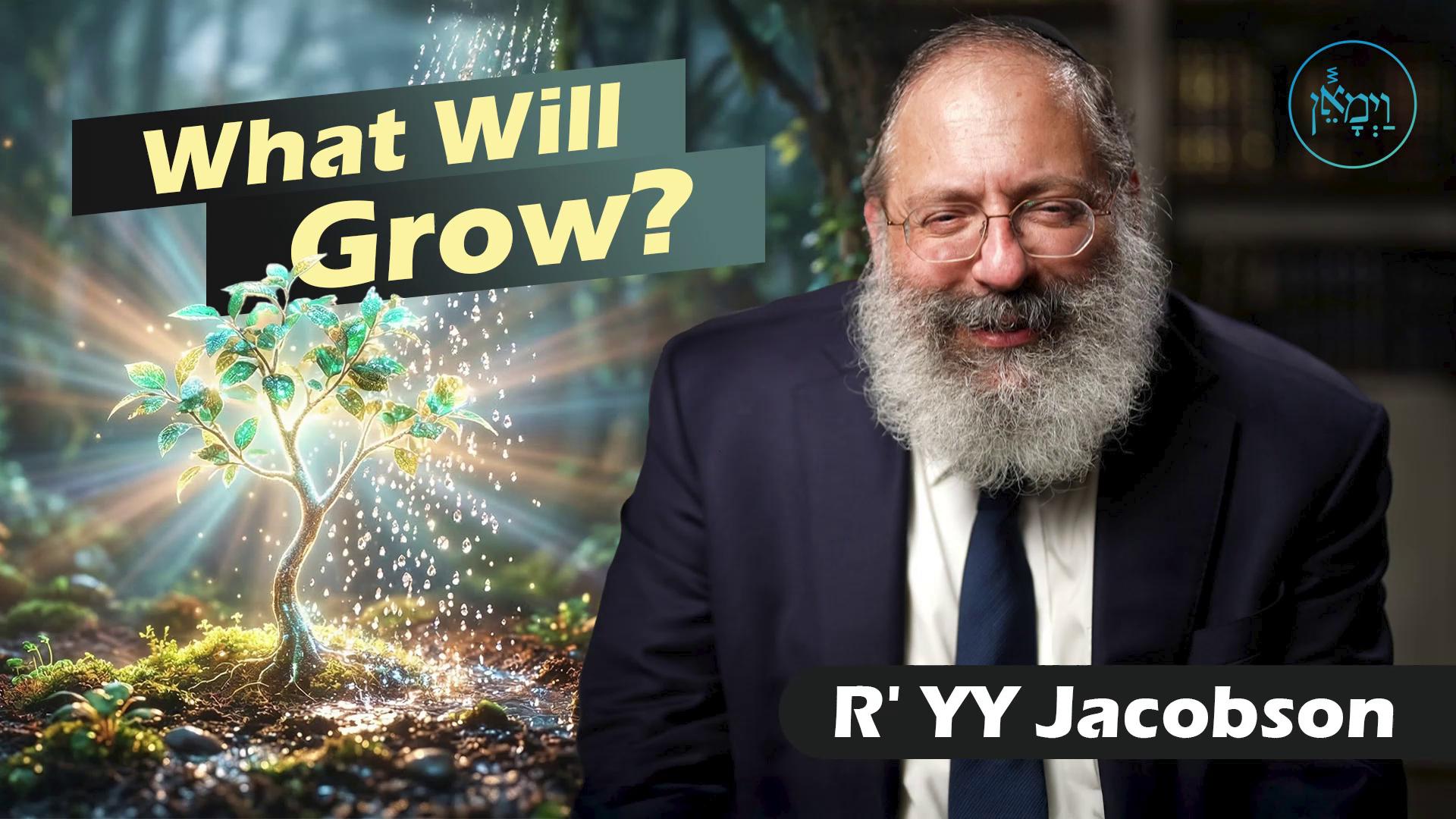 Vayimaen (וימאן) - What Will Grow?
