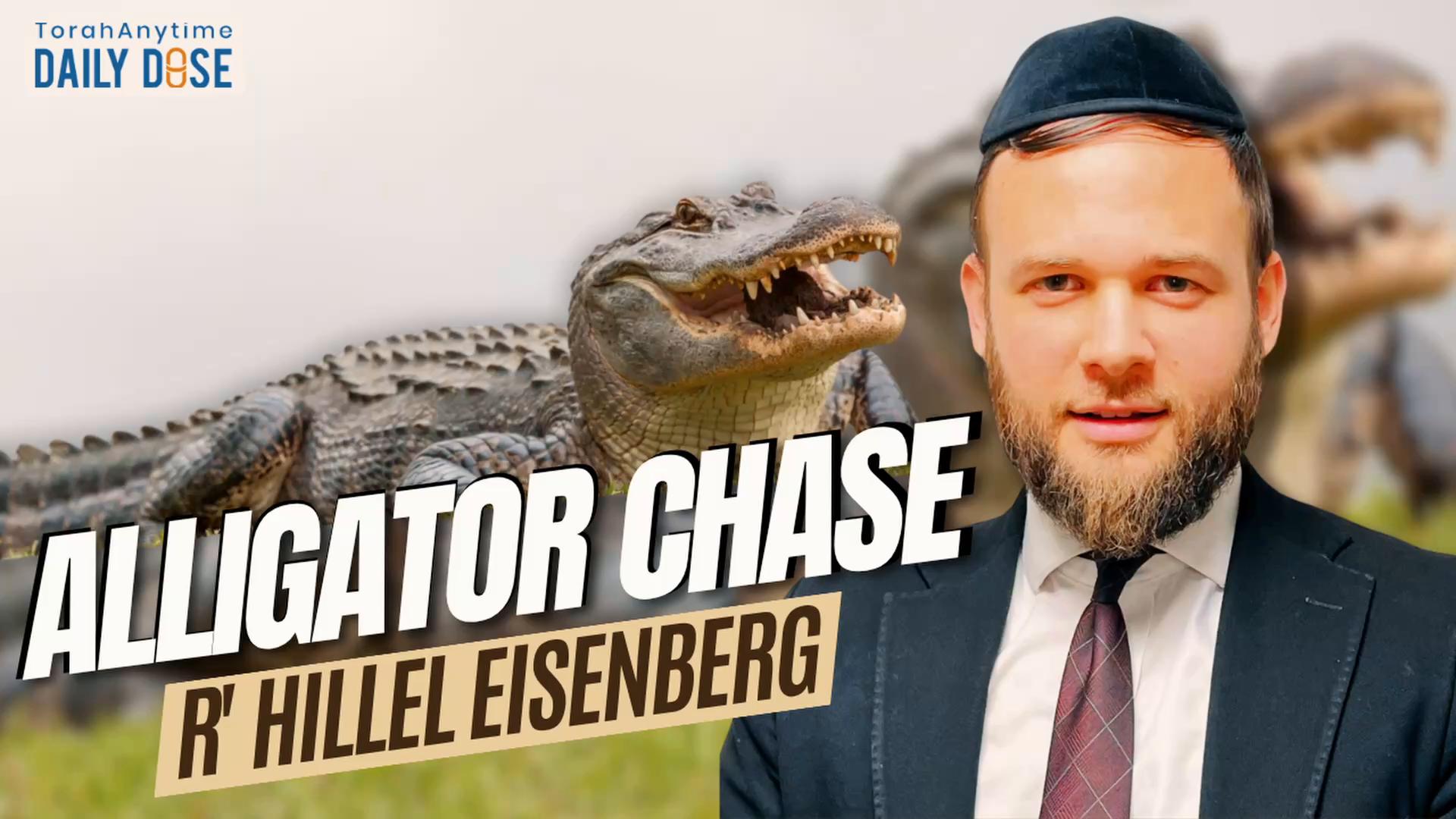 Daily Dose #2,595: Alligator Chase