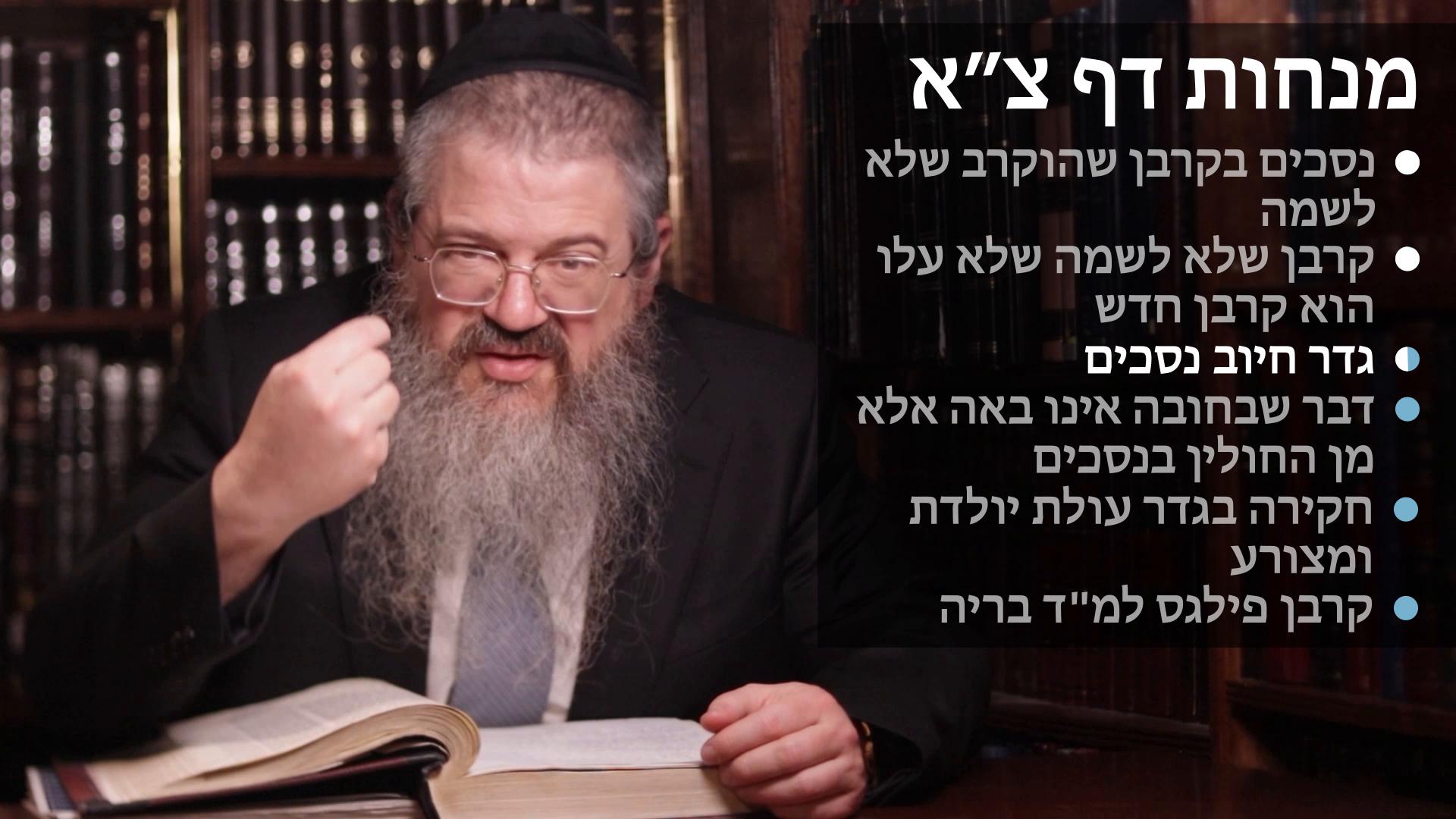  Menachot daf 91 נסכים בקרבן שלא לשמה, גדר שלא לשמה, גדר חיוב נסכים, דבר שבחובה אינו באה אלא מן החולין, גדר עולת יולדת, וקרבן פילגס למ"ד בריה 