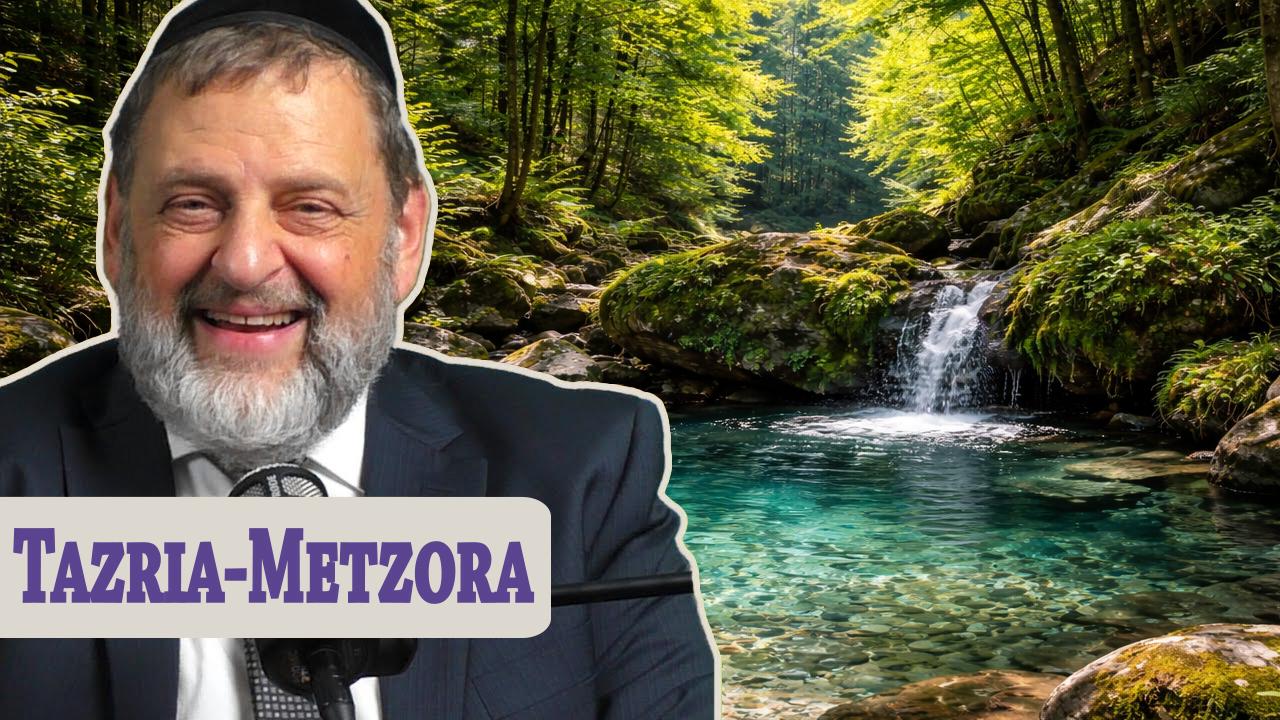  Tazria-Metzora: Reconnect With The Source Of Life
