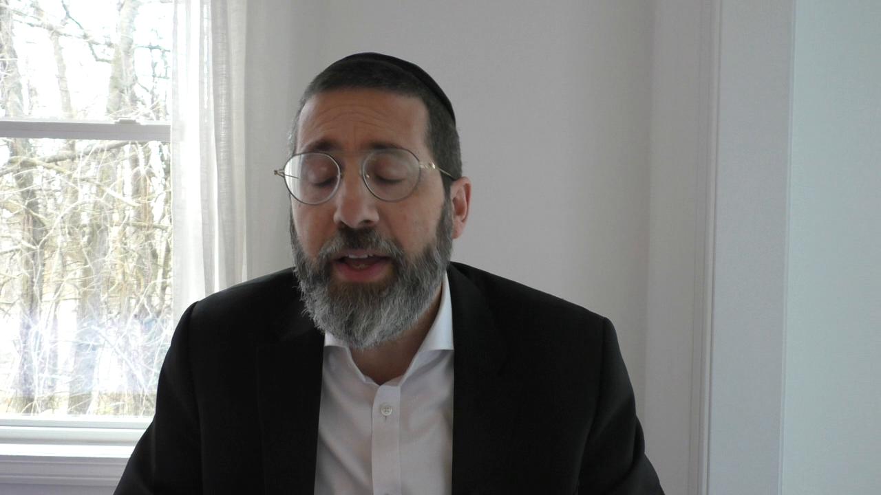 Pele Yoeitz #233 