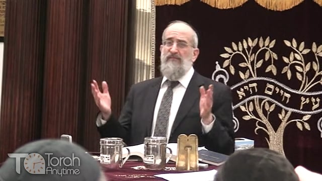 Late Night Mishmar with Rabbi Reisman #2