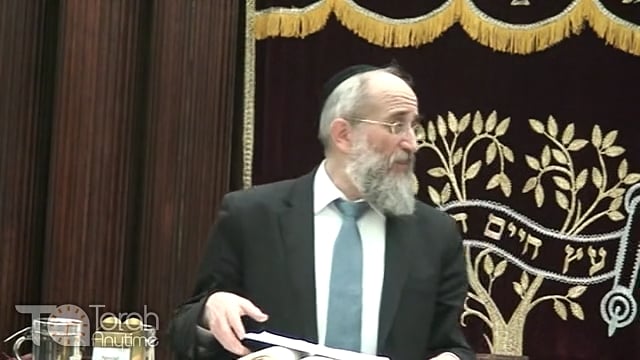Late Night Mishmar with Rabbi Reisman #3
