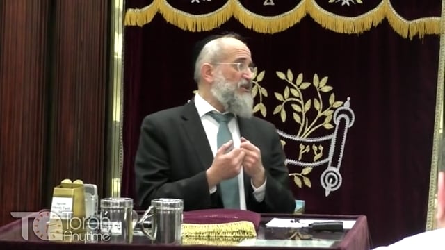 Late Night Mishmar with Rabbi Reisman #5