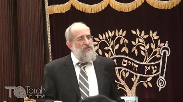 Late Night Mishmar with Rabbi Reisman #7