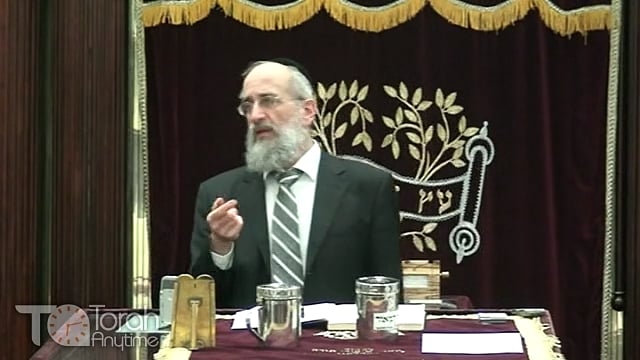 Late Night Mishmar with Rabbi Reisman #8