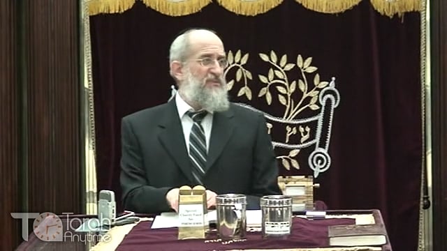 Late Night Mishmar with Rabbi Reisman #9
