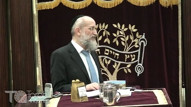 Late Night Mishmar with Rabbi Reisman # 12