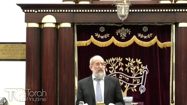 Late Night Mishmar with Rabbi Reisman # 13