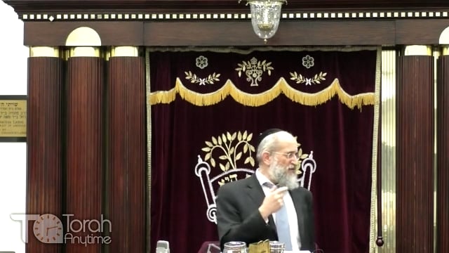 Late Night Mishmar with Rabbi Reisman # 14