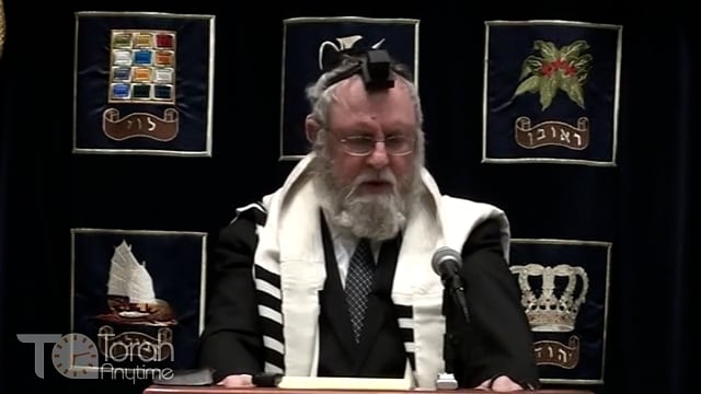 כי מעולם קיוינו לך