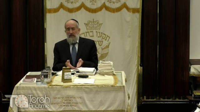 Late Night Mishmar with Rabbi Reisman # 17